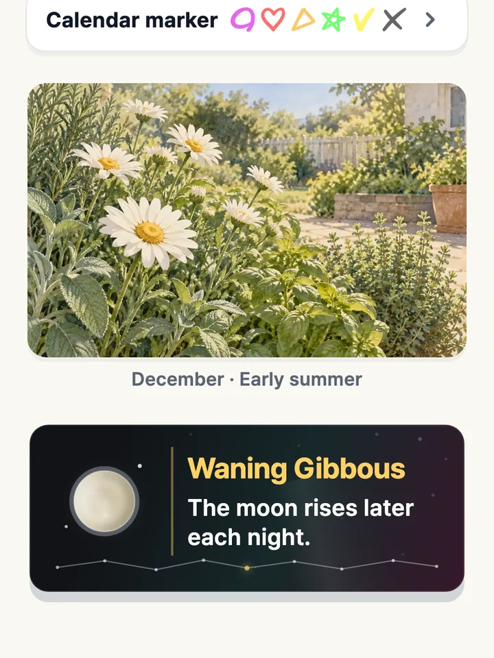 A seasonal picture for December and the moon tonight