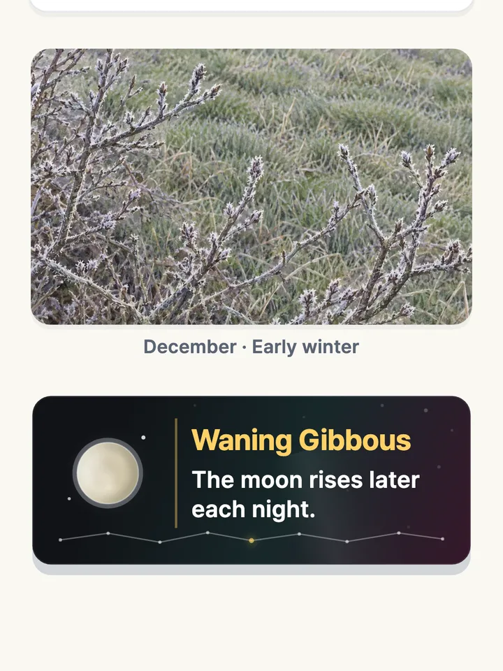 A seasonal picture for December and the moon tonight